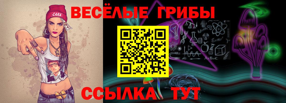 Псилоцибиновые грибы ЛСД  наркота  Губкин  Псилоцибиновые грибы мухоморы  Вход с VPN 