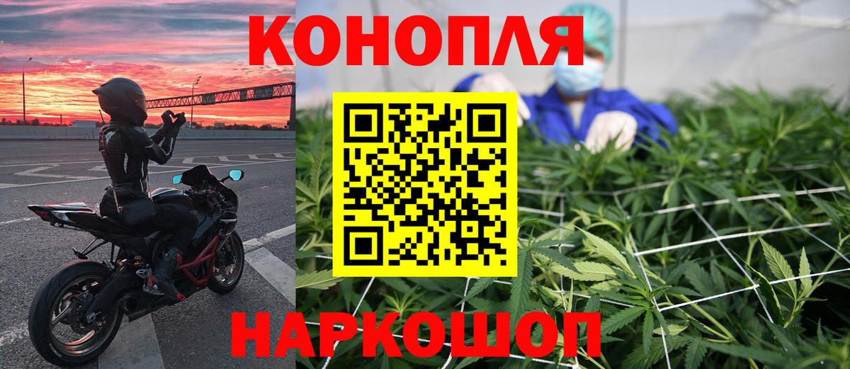 Каннабис марихуана Губкин